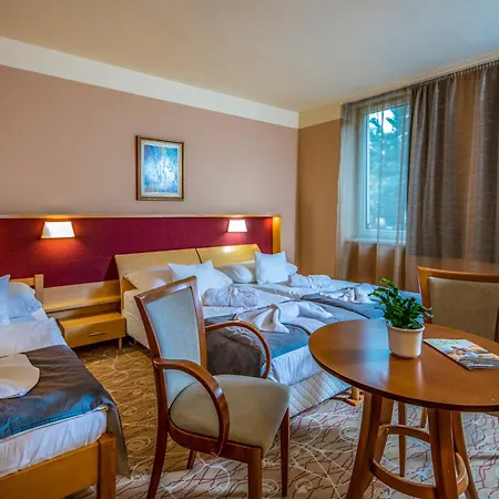 Drava Hotel Thermal Resort-2
